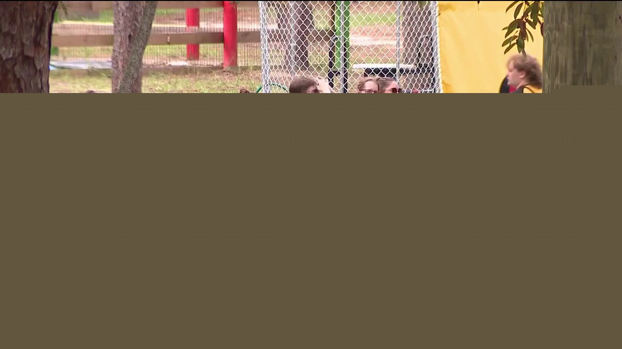 Camp Thunderbird helps kids and adults with disabilities thrive