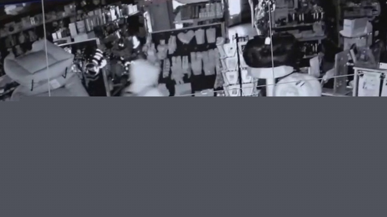 Burglar smashes window at LA pet store