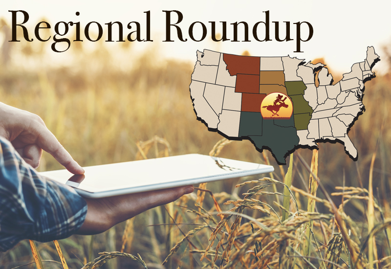 Reiners elected chair of USGBC board