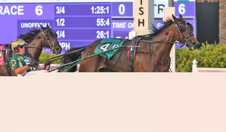 Shartin N daughter headlines De Long’s magnificent seven