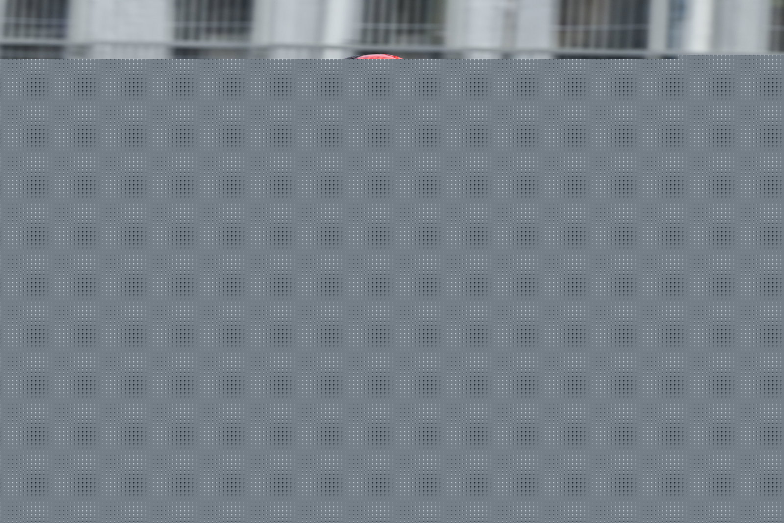 Crash MotoGP Pocdast: Will Marc Marquez treat Japan like a normal weekend?