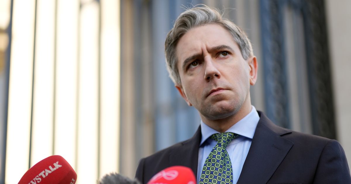 Irish tax cuts 'entirely possible' without any economic shocks, Tanaiste says