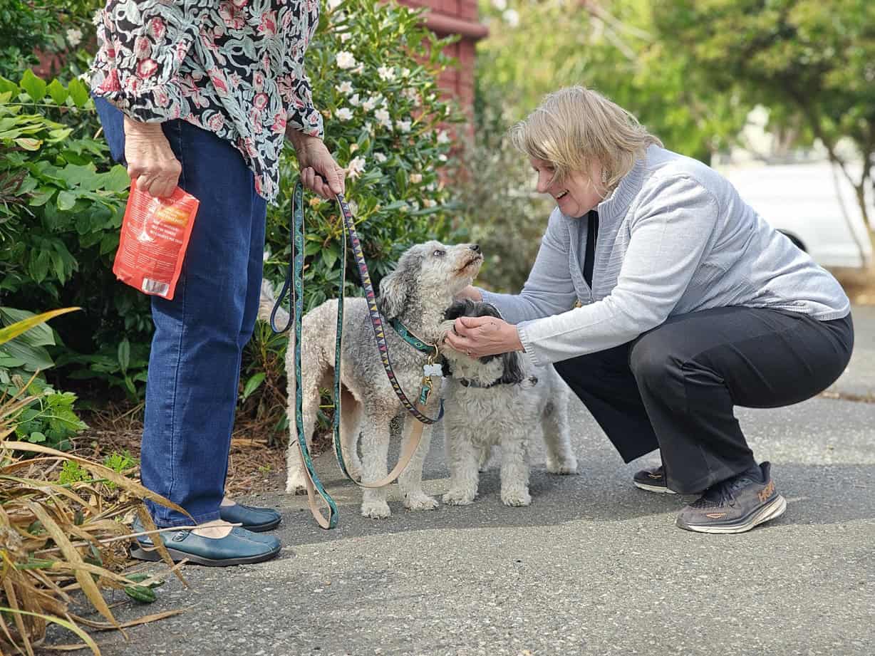 Ballard pet celebration planned for October 5 at Ballard Commons Park