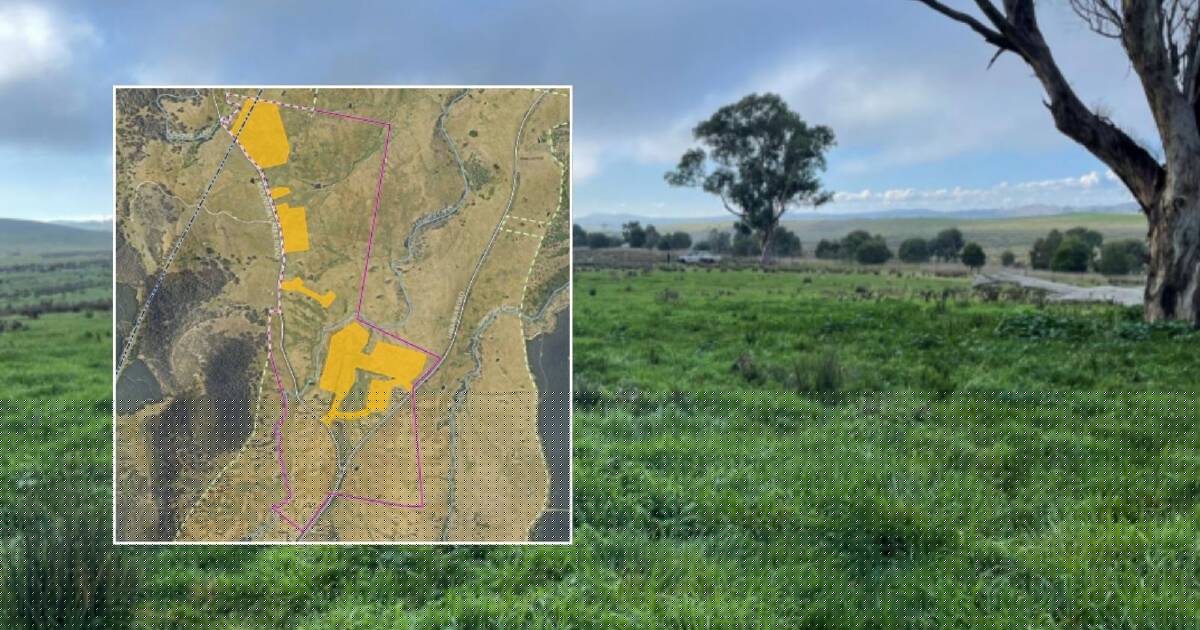 Massive battery proposed for historic ACT sheep farm