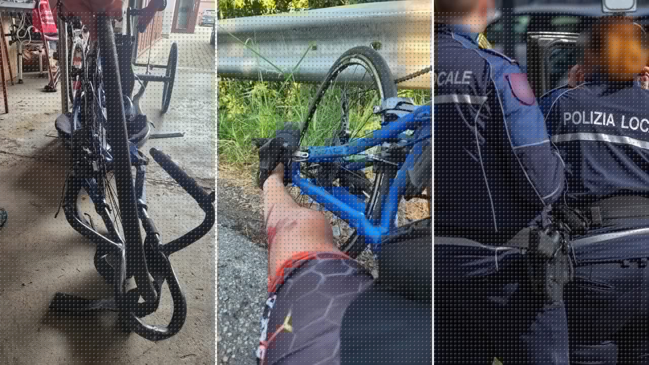 Disabile in handbike travolto da un taxi sulle strisce, multato dalla Locale: la precedenza è "solo per i pedoni"