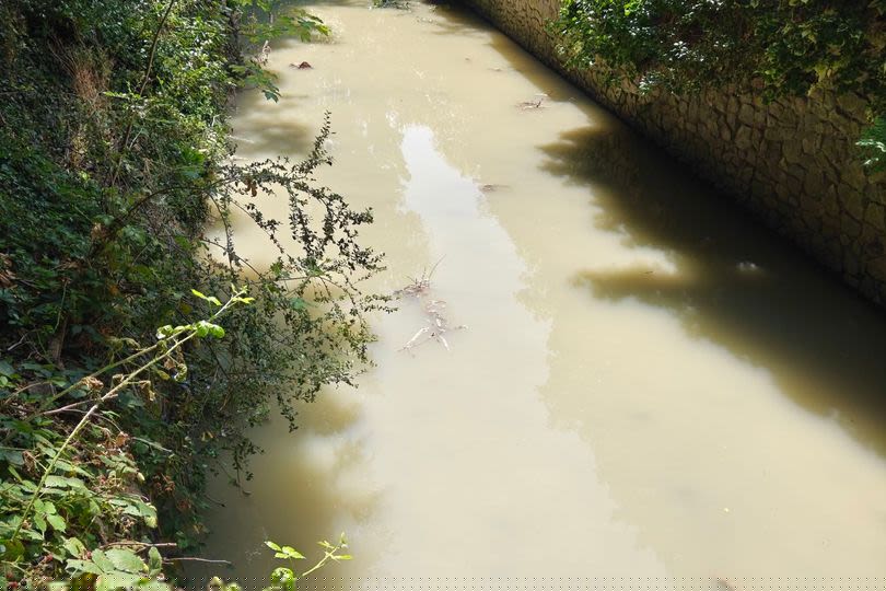 Concerns after water turns brown in South London river