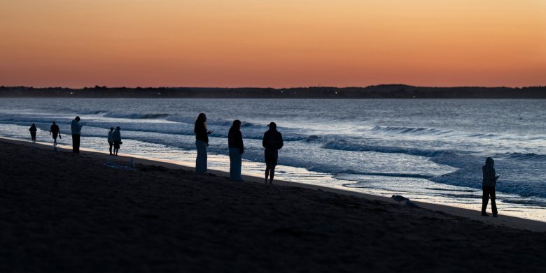 Study in Saco Bay aims to fill data gaps about juvenile white sharks
