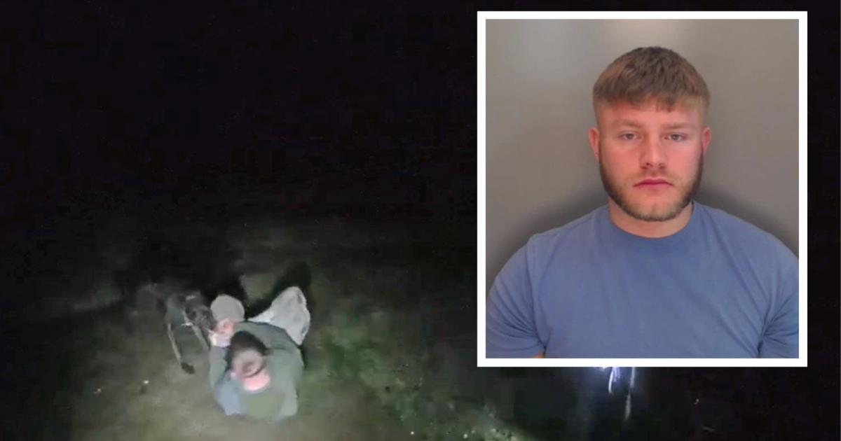 Moment police dog brought down axe-wielding man who attacked ex and chased officers