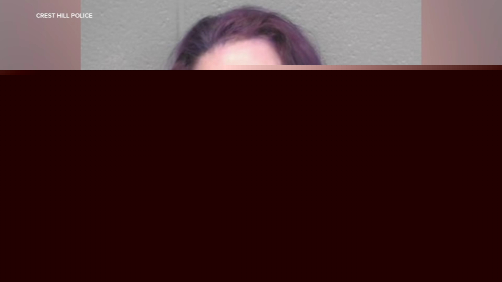 Woman pleads guilty to hit-and-run crash that killed 2 in Crest Hill, documents show