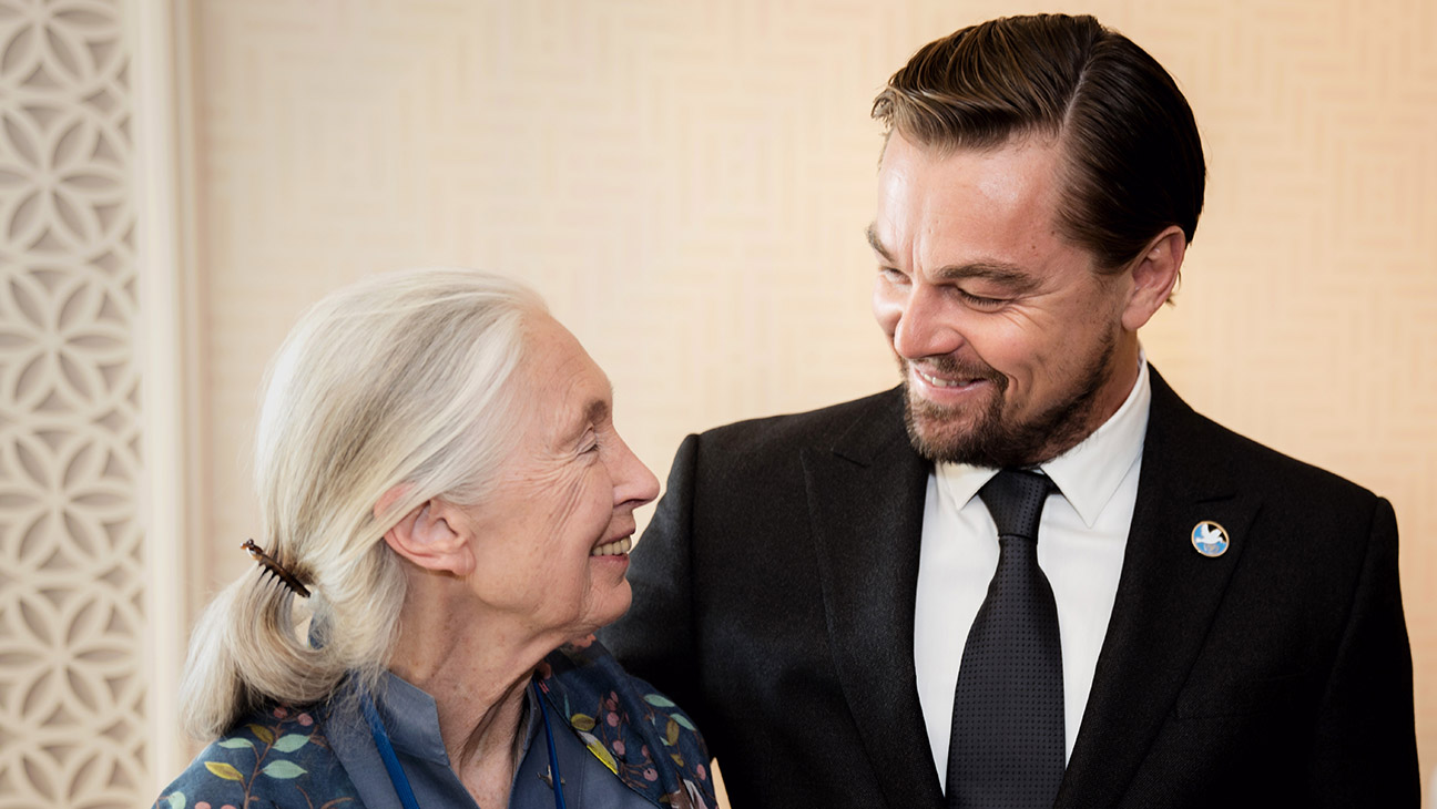 Leonardo DiCaprio Pays Tribute to Jane Goodall: “We Have Lost a True Hero for the Planet”