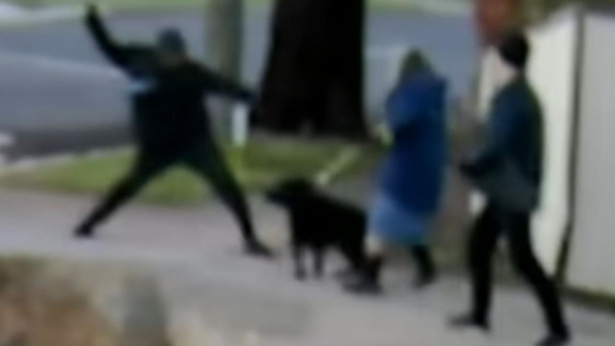 Man’s alleged wild rampage