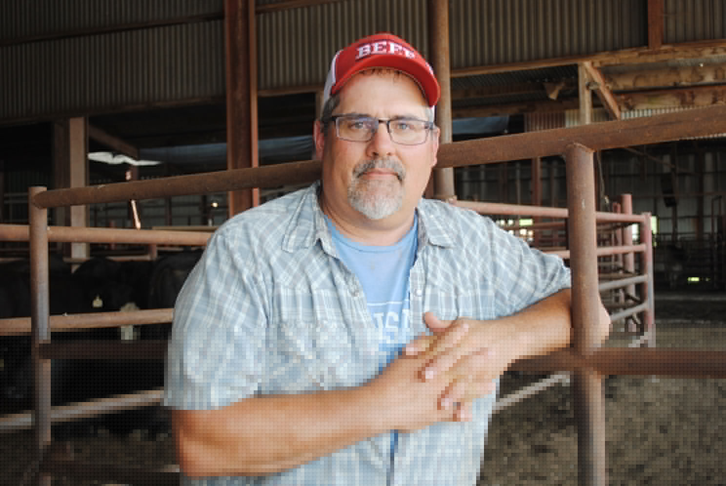 Livestock sales big bid-ness in Fredonia