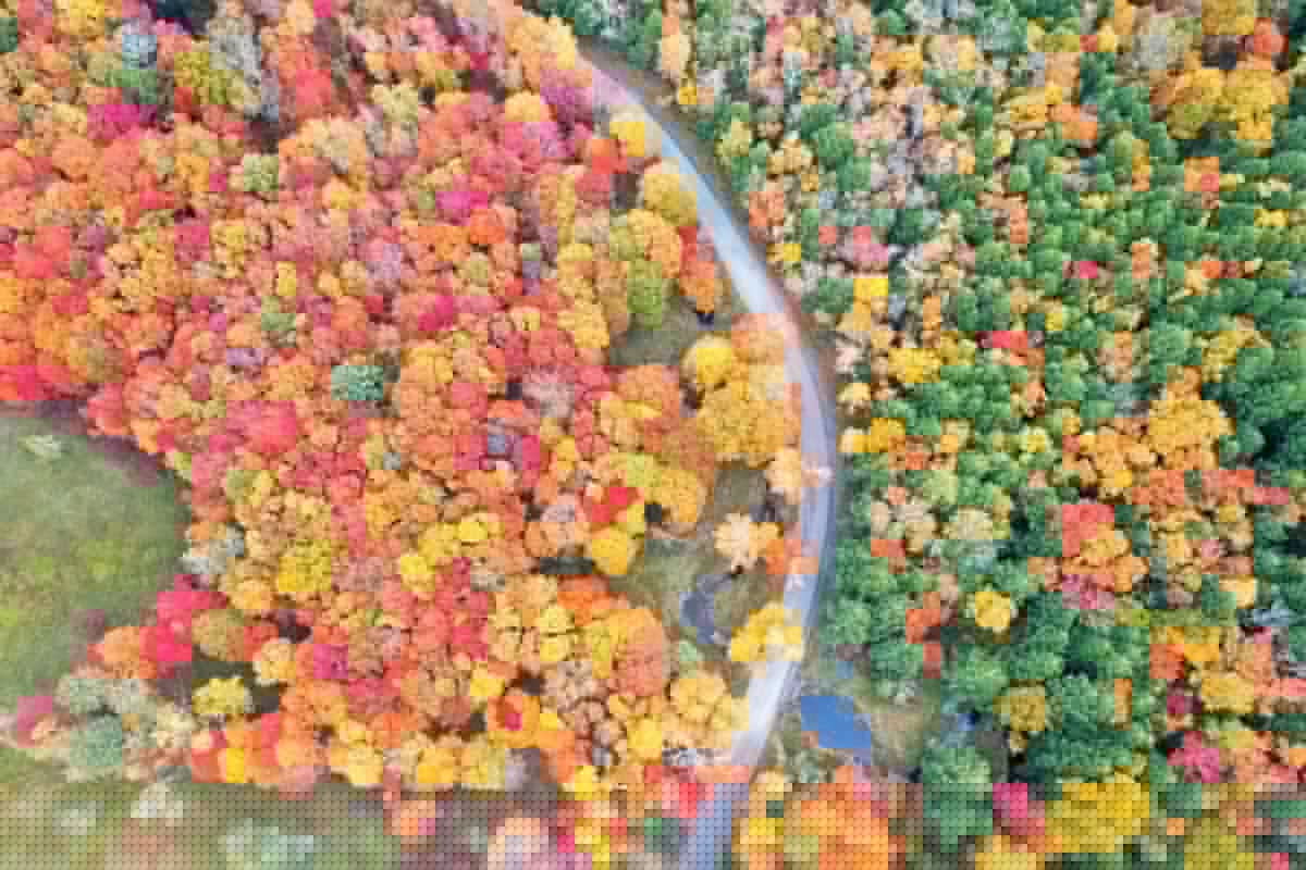 Fall Is Coming: See When New York’s Leaves Will Peak