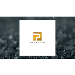 Pelangio Exploration Inc. (OTCMKTS:PGXPF) Sees Large Increase in Short Interest