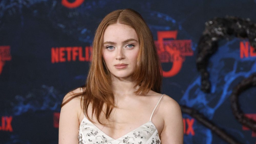 Sadie Sink to lead FX for Hulu’s ‘The Marriage Plot’ adaptation