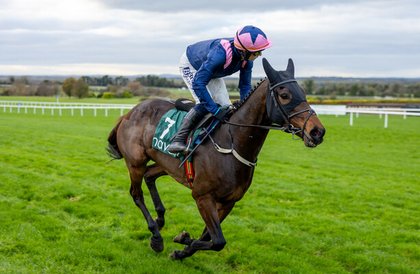 Kopek Des Bordes to miss Dublin Racing Festival and head straight to Cheltenham
