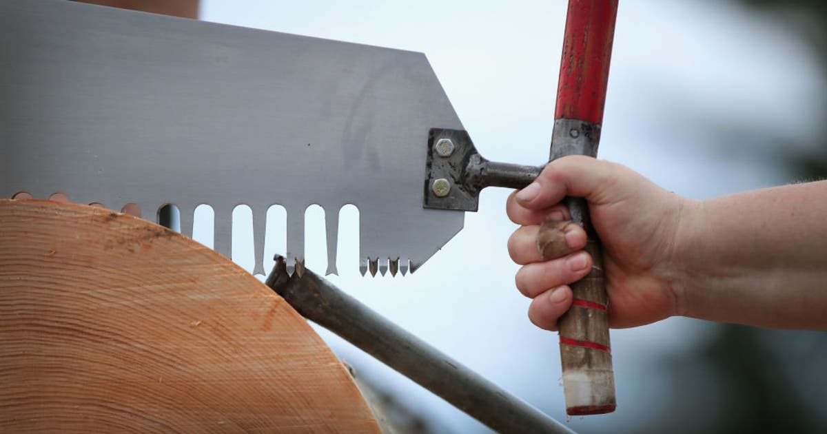 Lumberjack World Championships in Wisconsin; 3 women's world records set