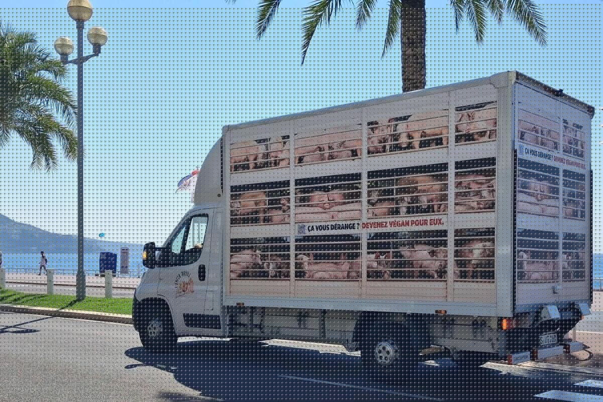 « L’Enfer mobile » : pourquoi vous avez peut-être entendu des cris de cochons agonisants à Nice