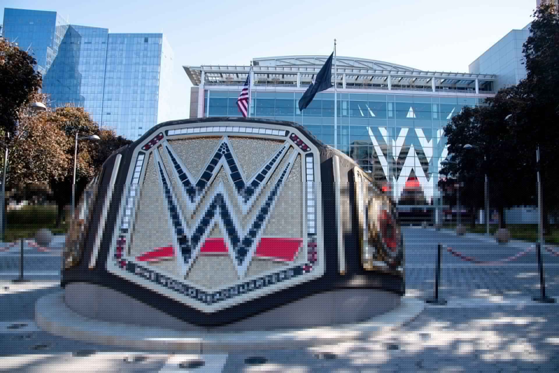 WWE star has a backup plan outside of the company if he doesn't become World Champion