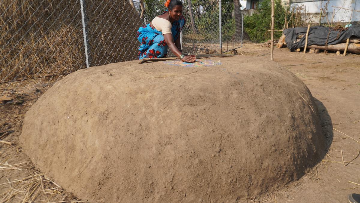 Ancient grain storage tradition fading fast in Srikakulam district
