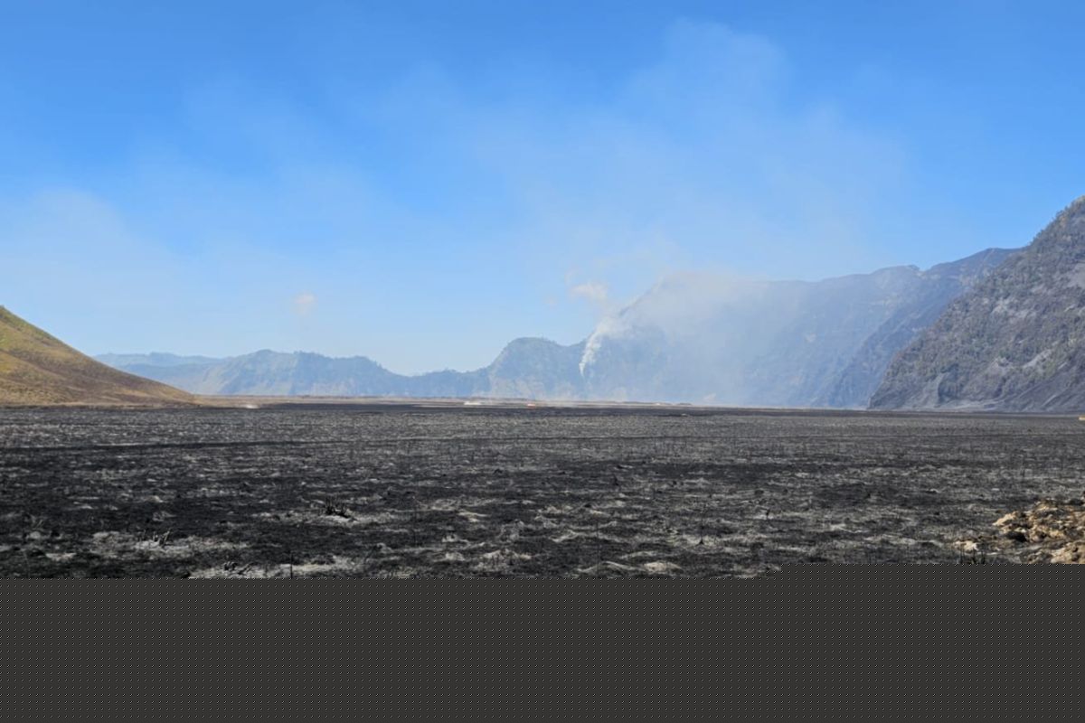Indonesia contains Bromo fire hotspots after 900 hectares affected