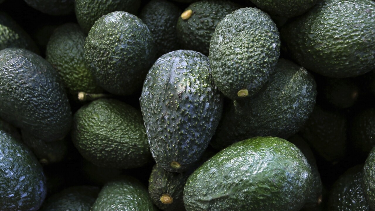 US suspends avocado inspections in Mexican state of Michoacan due to threat