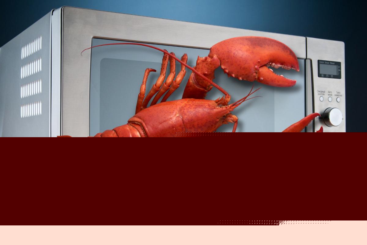 You’ve Been Cooking Lobster Wrong All Along