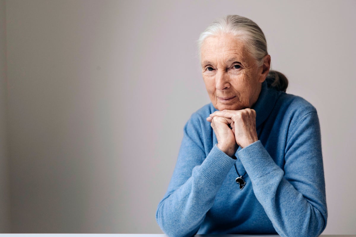 Goodall's influence spread far and wide. Those who felt it are pledging to continue her work