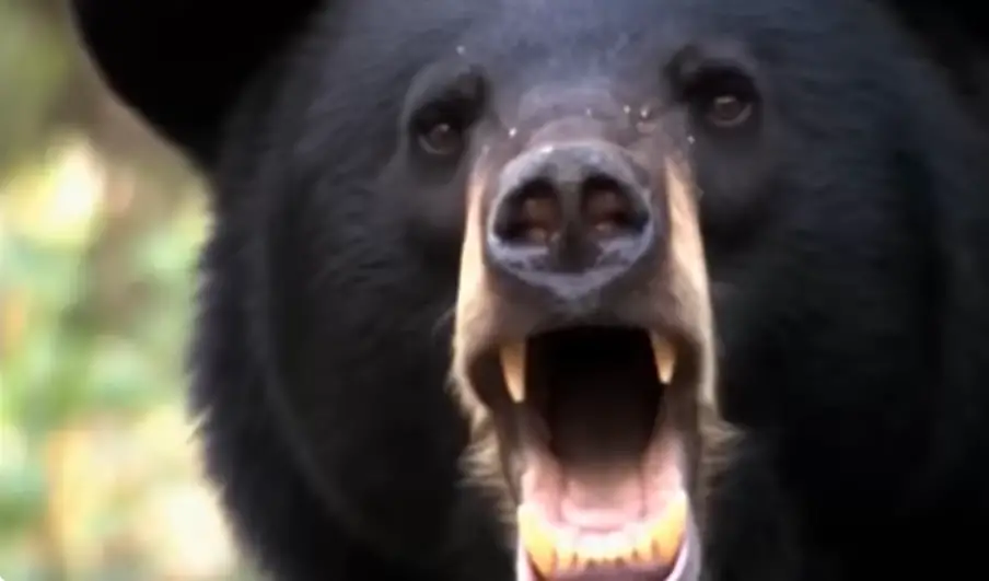 Super Bowl’s sh*ttiest ad is by adam&eveTBWA for Columbia