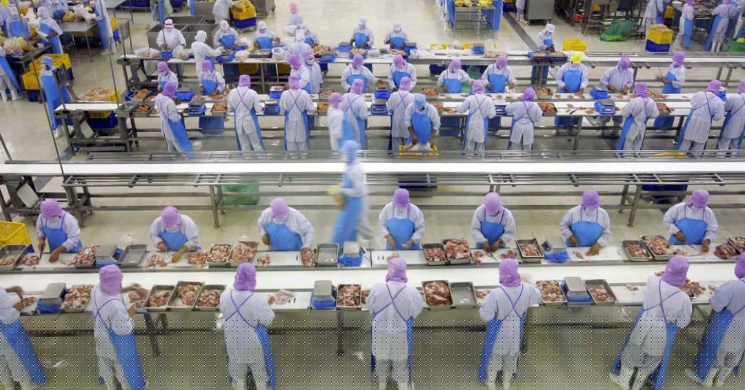 Exportação de carnes ignora Trump e cresce mais de 50% mesmo depois de tarifaço