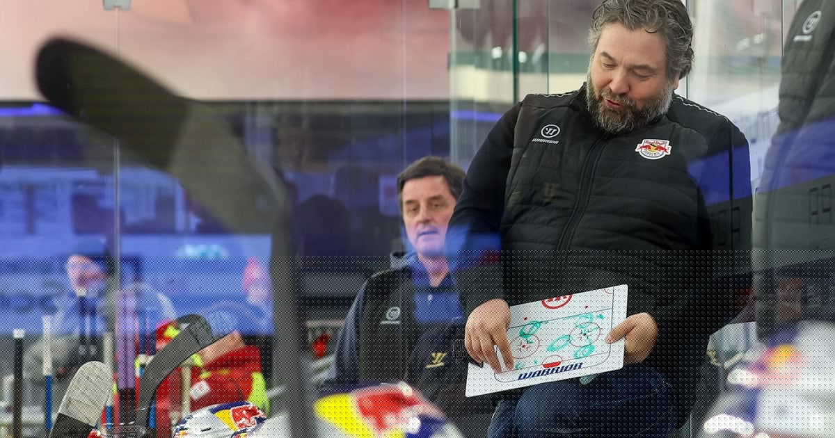 Alps Hockey League - Jungbullen treffen Entscheidung auf Trainerbank