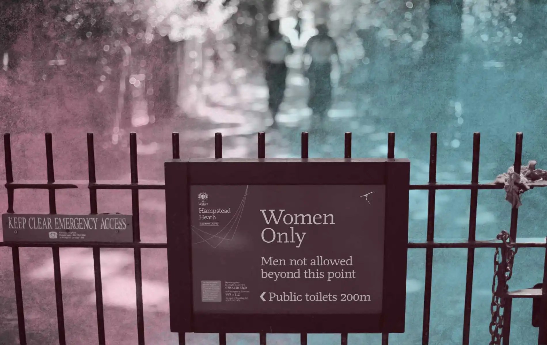 Sex Matters blocked from bringing challenge over trans inclusion at Hampstead Heath ponds