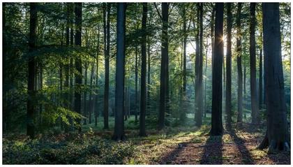 Canadian veteran FINED $28k for DARING to enter the woods following Nova Scotia's NO WOODS LOCKDOWN ORDERS!!!