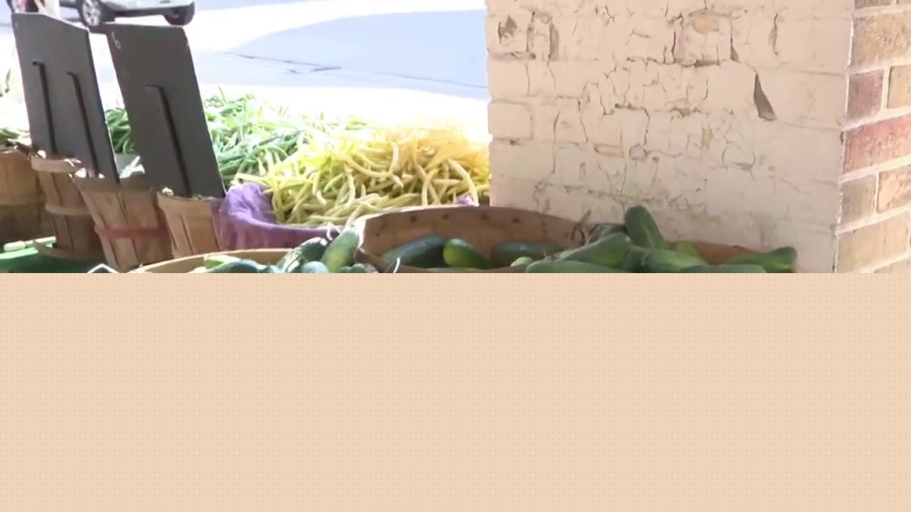 West Allis Farmers Market; local growers bring much more than vegetables, flowers