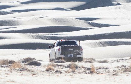 Truck damages Death Valley sand dunes; rare plants destroyed