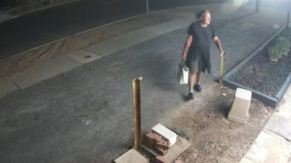 Alleged vandal accused of causing trouble hours after arrest
