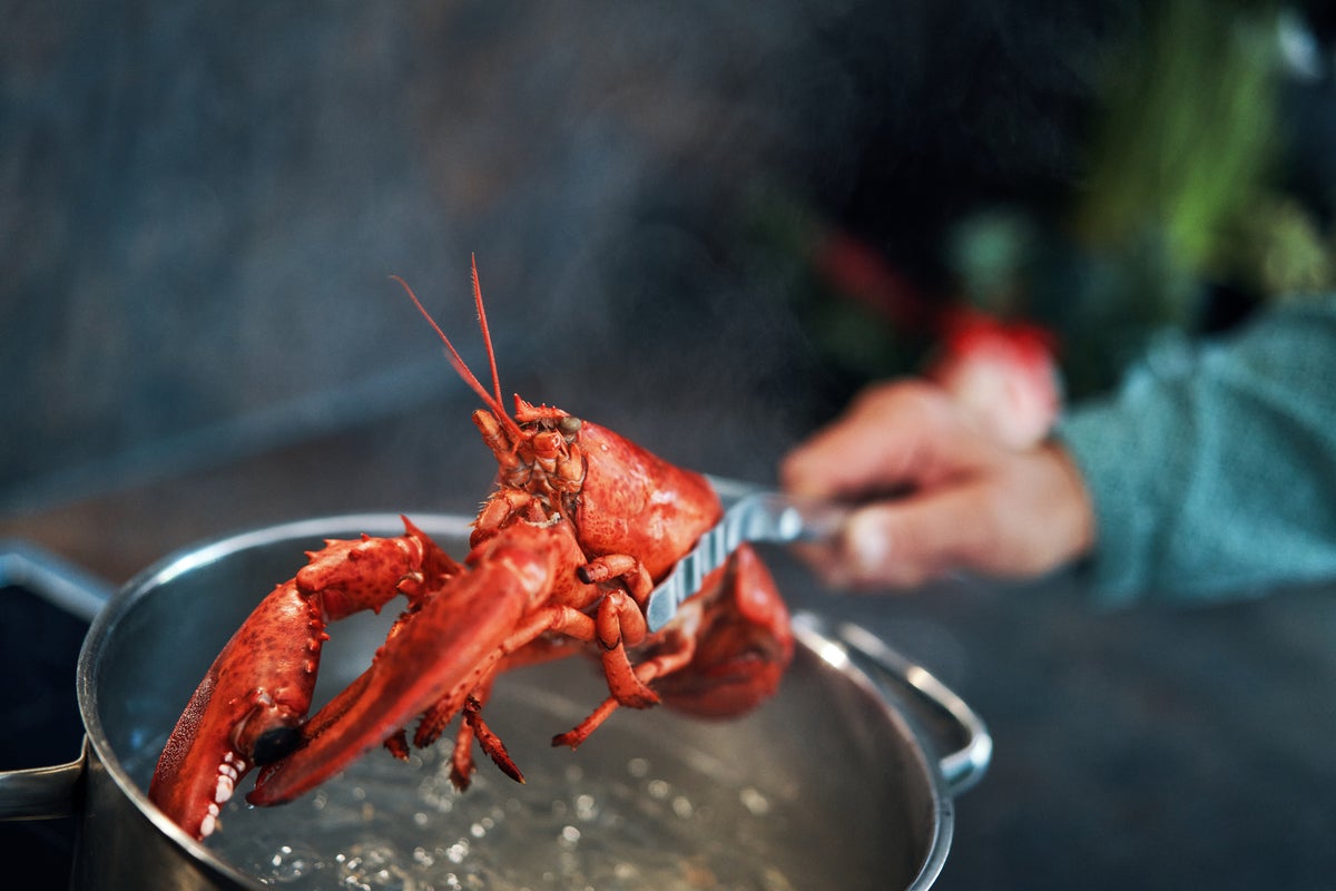 Appeals court says fishermen's claim in lobster defamation suit raises First Amendment questions