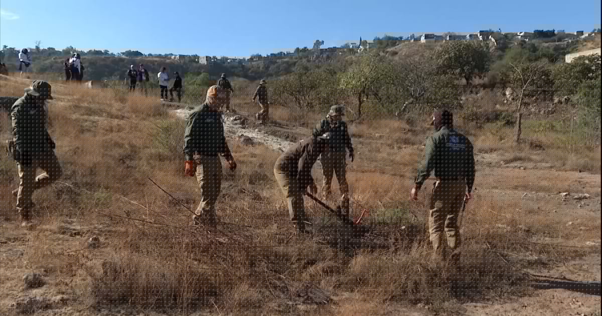 Registro de Fosas Clandestinas del Gobierno está desactualizado: ONG interpone demanda