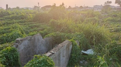 Boakai Moves to Protect Liberia’s Oldest Cemetery