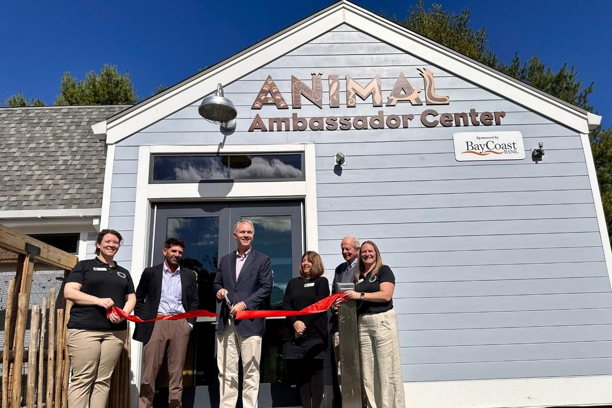 Get Up Close and Personal  with Zoo Animals