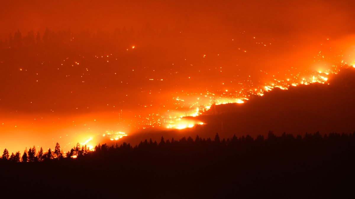 Senators Call for Crackdown on Prediction Markets Allowing Wildfire Bets