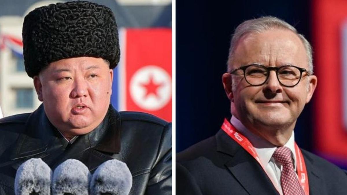 Senior Liberal likens Albanese to North Korea’s Kim Jong-un