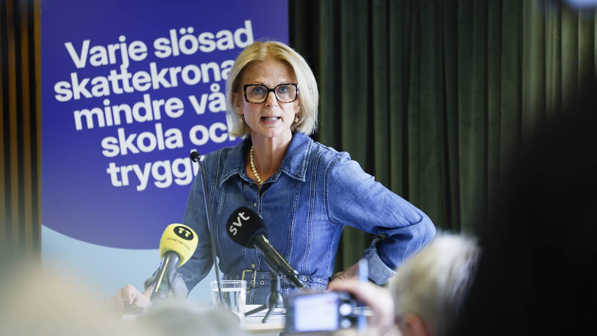 Planen: Så ska Moderaterna finansiera sina vallöften