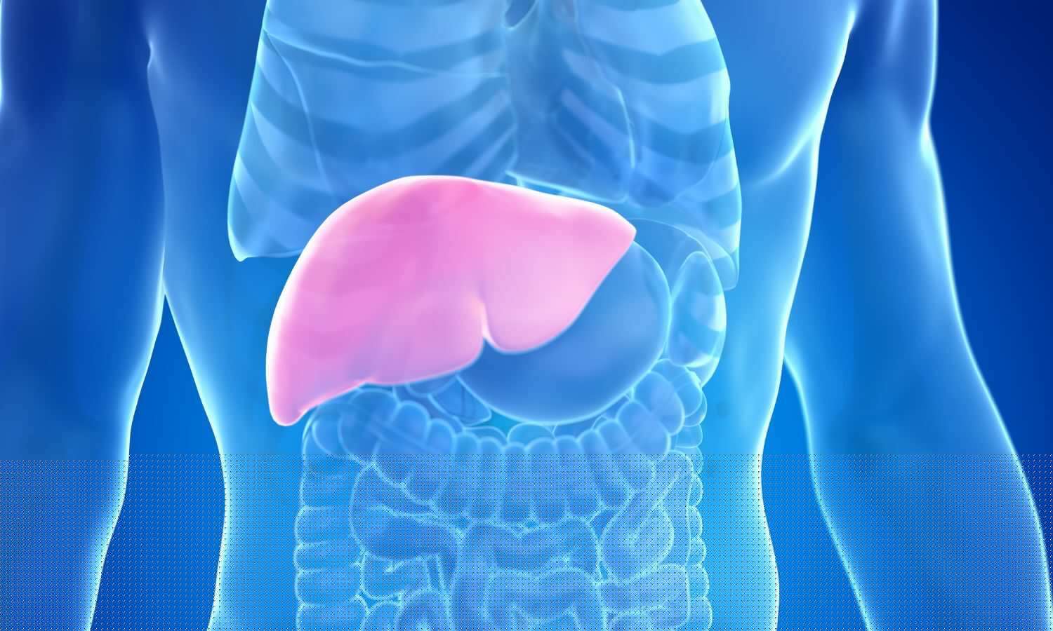 Fatty Liver or Viral Hepatitis? Dr Vineet Kumar Gupta Explains the Difference