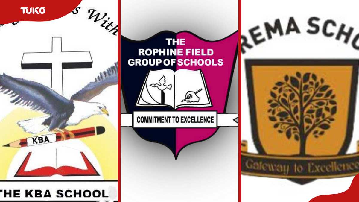 20 best-performing primary schools in Nairobi County: A comprehensive list