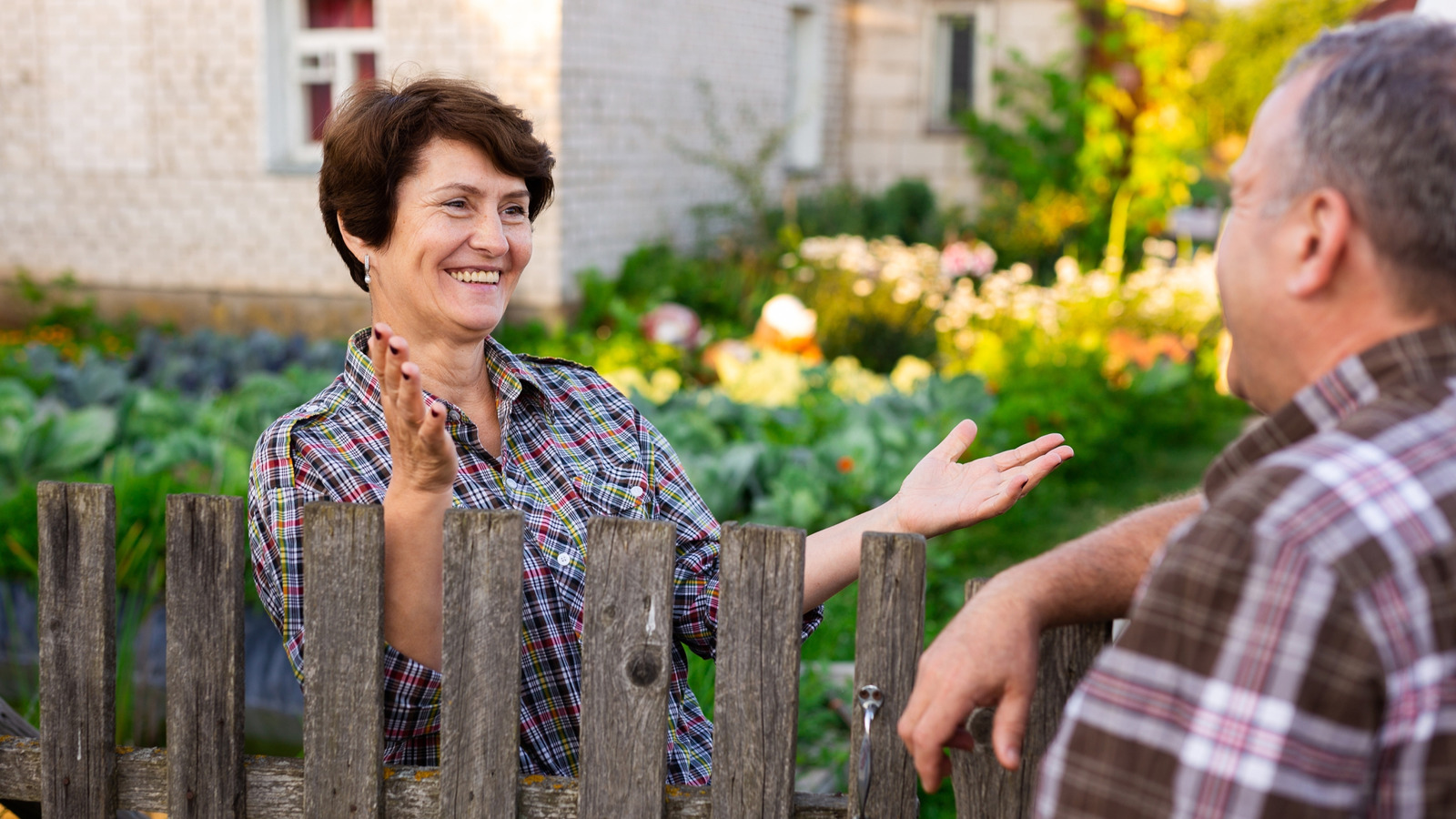 What To Do If A Neighbor Grows An Invasive Plant Near Your Property