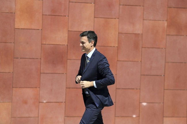 Elon Musk Was Right: Pedro Sánchez Is a Traitor