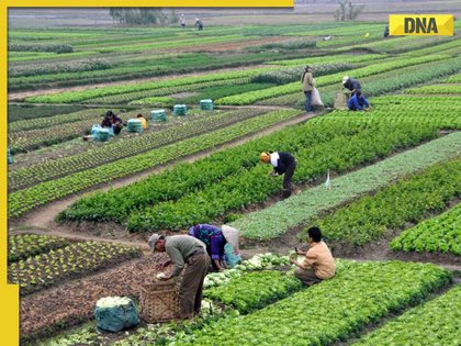 Budget 2026: Agriculture sector seeks higher agri-infra investment to boost farmer incomes
