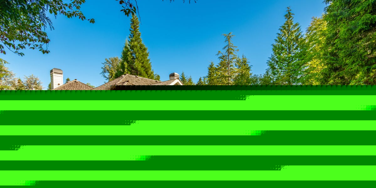 3 Easy Ways to Help Your Lawn Survive Summer Heat and Save Water
