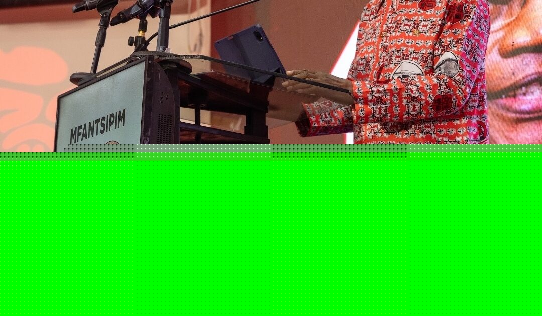 Young people must improve democracy, not merely inherit it — Ibn Chambas